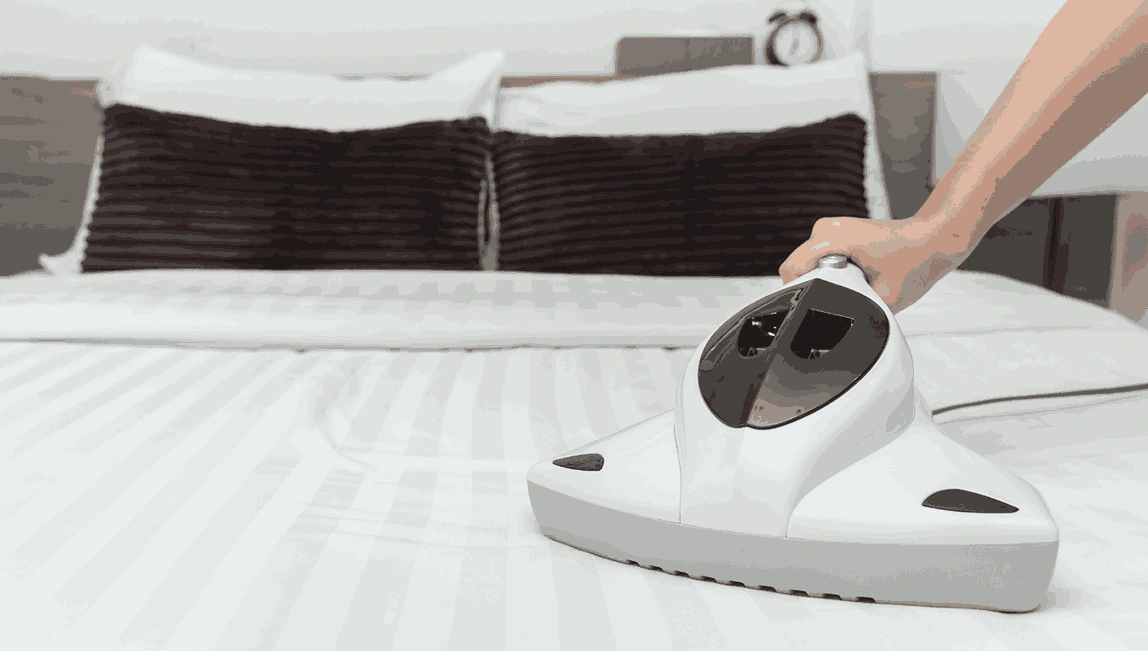 Professional Mattress Cleaning Albion